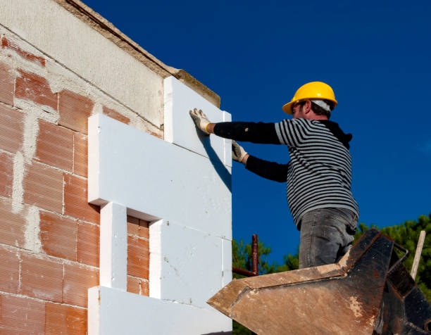 Best Energy-efficient Insulation  in Arbury Hls, IL